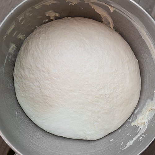 Artisan Bagel dough before rise